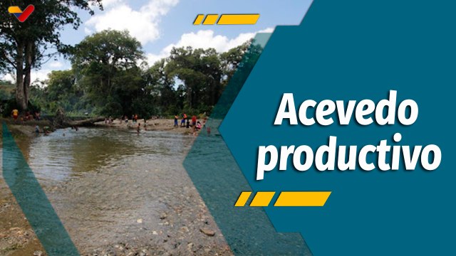 A Todo Motor por Venezuela | Emprendedores del municipio Acevedo apuestan a la producción nacional