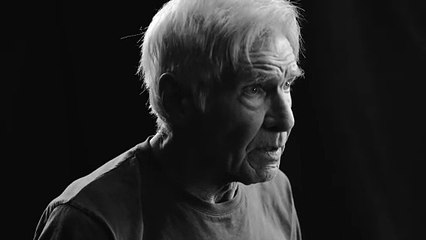 Harrison Ford Endorsement