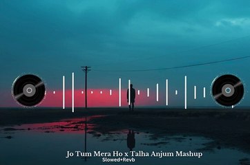 Jo Tum Mere Ho X Talha Anjum Mashup _ Slowed+Revb _  Anuv Jain _ Naresh Parmar _ New Song 2024