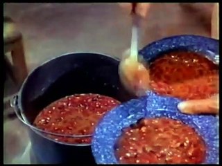 Bonanza 4x26 - Cualquier Amigo de Walter