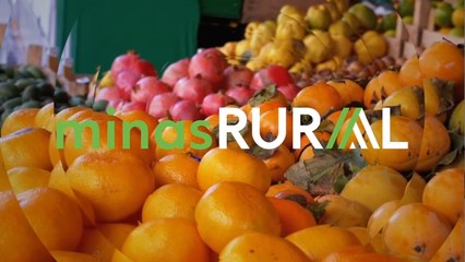 Confira a íntegra do programa Minas Rural deste sábado (02)!