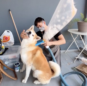 Transformer la fourrure en réconfort : L'histoire du don de poils de mon CHIEN !