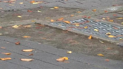 [날씨] 휴일 맑고 선선, 큰 일교차...해상 높은 물결 / YTN