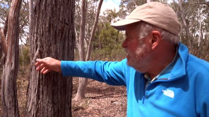 As the weather starts to heat up in Canberra, what can you do to prepare?