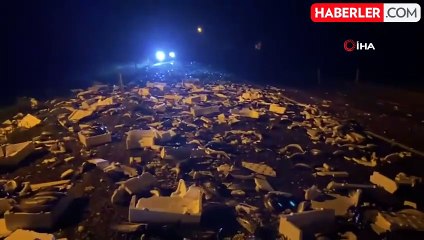 Bartın-Karabük Yolunda Tonlarca Balık Yola Döküldü