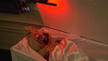 Nobar 'Siksa Kubur' Ramaikan Halloween di Washington