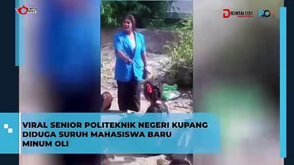 Heboh! Senior Politeknik Kupang Diduga Paksa Mahasiswa Baru Minum Oli