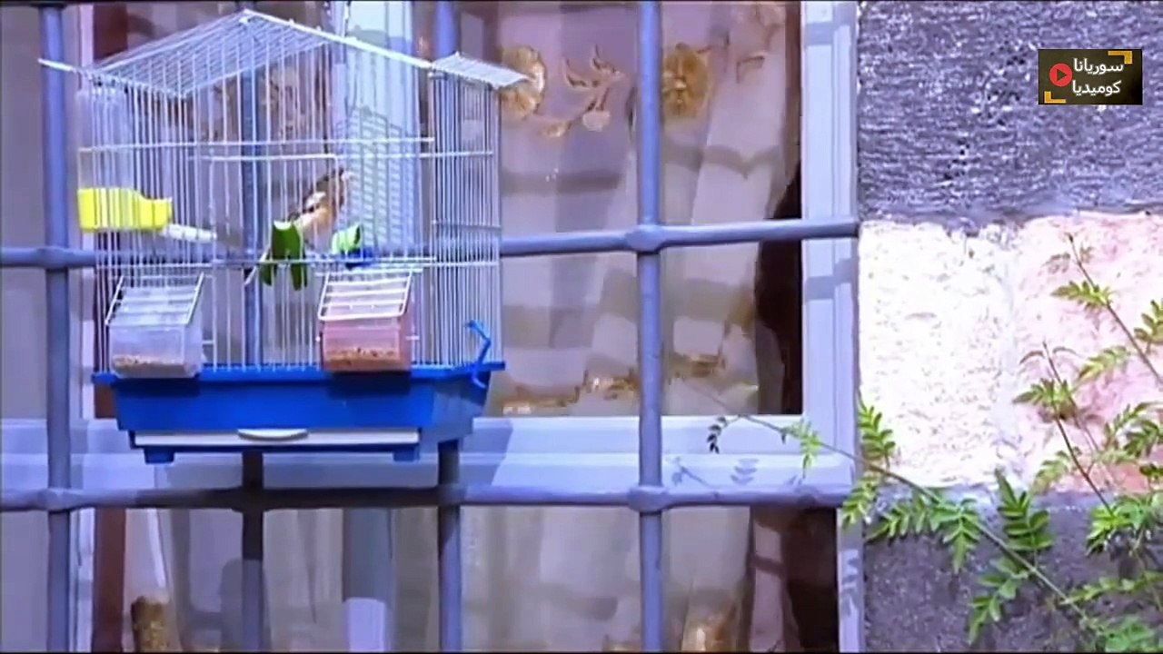 مسلسل مطر الربيع الحلقة السادسة