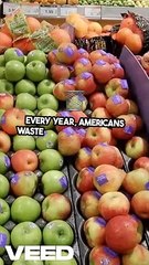 Stop Wasting_ Transform Your Habits