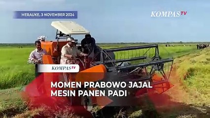 Momen Presiden Prabowo Subianto Jajal Mesin Panen Padi saat Kunjungan Kerja Perdana di Merauke