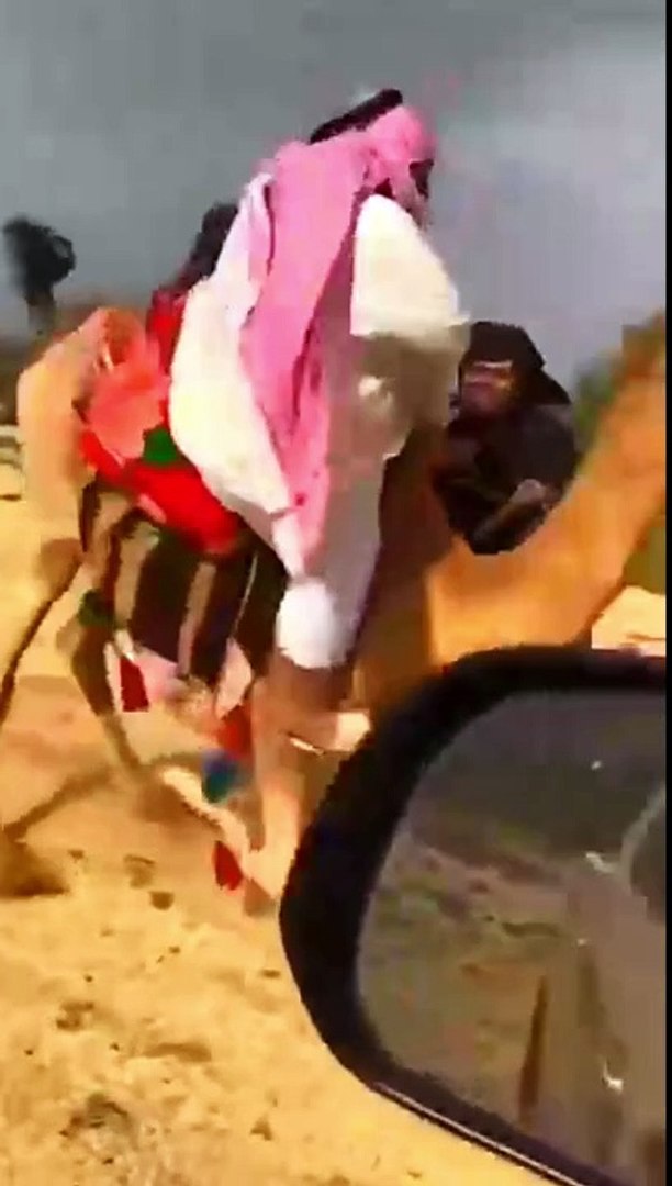 Big Funny moments......