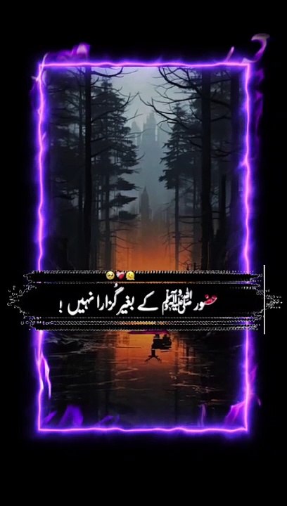 Beautiful Islamic video #islamicquotes #islamics