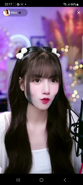 Mèo