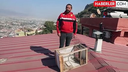 Sansarı Tuzağa Düşüren Adam, Bir Gece İçinde Kaçırdı