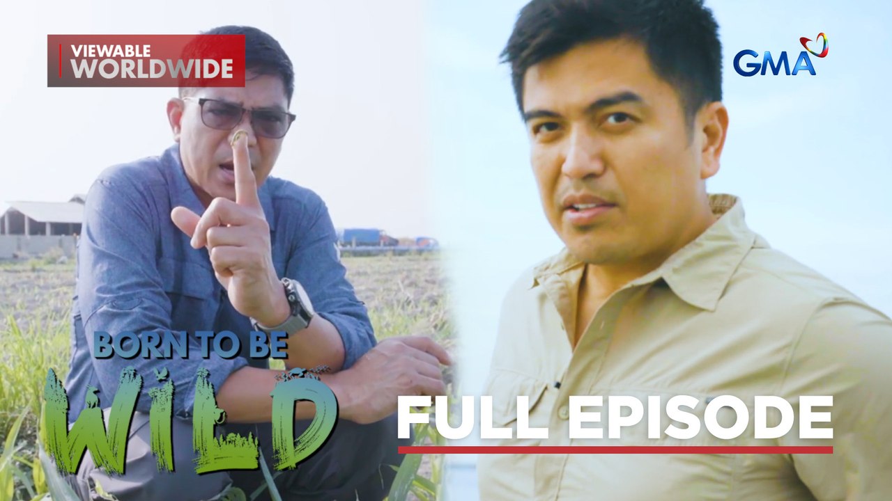 Discover the world of fall armyworms and mudskippers (Full Episode) | Born to be Wild