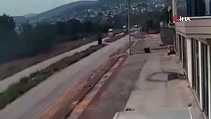 Bursa'da kafa kafaya kaza! O anlar kamerada