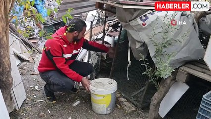 Sansarı Tuzağa Düşüren Adam, Bir Gece İçinde Kaçırdı