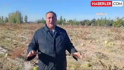 CHP'li Gürer: 2024 Yılı Çiftçiler İçin Kara Bir Yıl Oldu