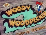 Woody Woodpecker Woody Woodpecker E122 – Little Woody Riding Hood