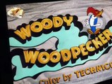 Woody Woodpecker Woody Woodpecker E137 – Get Lost! Little Doggy