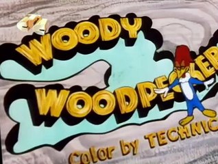 Woody Woodpecker Woody Woodpecker E136 – Skinfolks