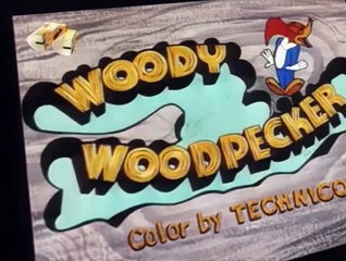 Woody Woodpecker Woody Woodpecker E161 – Lotsa Luck