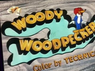 Woody Woodpecker Woody Woodpecker E158 – Hot Diggity Dog