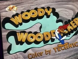 Woody Woodpecker Woody Woodpecker E159 – Horse Play