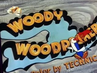 Woody Woodpecker Woody Woodpecker E167 – Woody the Freeloader