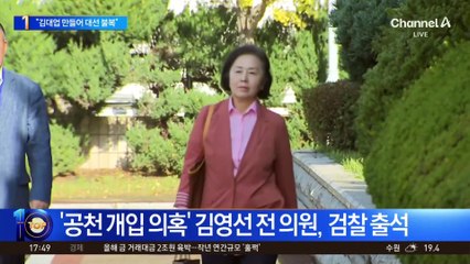 김영선 “제2의 김대업 만들어 대선 불복 운동”