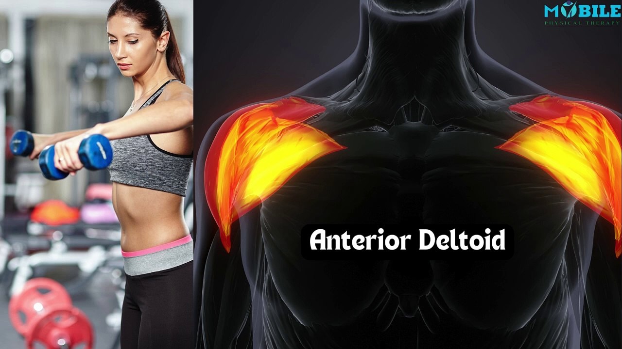 Master the Dumbbell Front Raise: Avoid Common Mistakes for Better Shoulder Gains! 