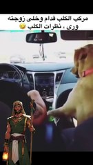 يا شماتة أبلة ظاظة فيا