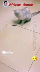 African Dance__#funny #amazing #shorts #trending @Star_14672