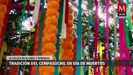 La importancia de la flor de cempasúchil en el Día de Muertos