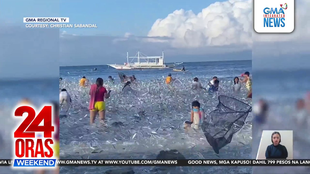 Sandamakmak na isda, pinagkaguluhan sa baybayin sa Moalboal, Cebu | 24 Oras Weekend