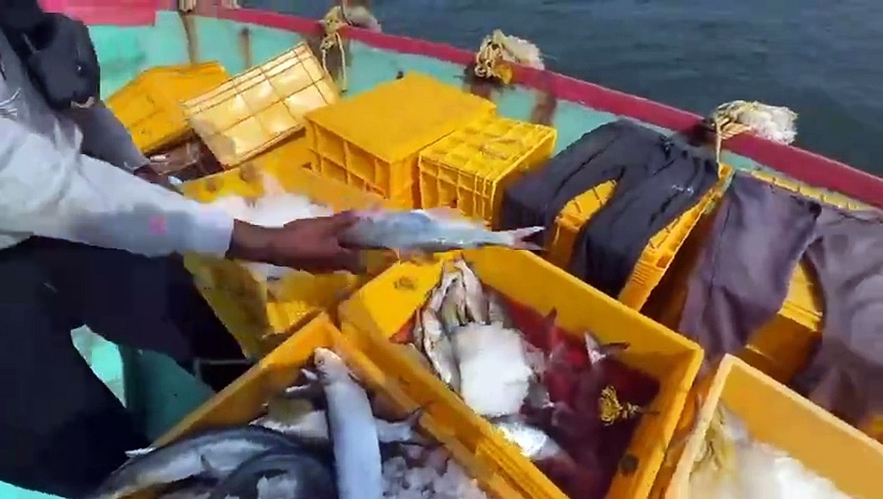GRE members Denzil Fernandes, Joaquim Mendes and others  from Nerul caught two Maple boat fishing illegally in Goan water