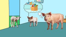 Peppa_Pig_in_Real_Life_Episode_1_Cartoon_Parody_Peppa_Pig_Funny_Animation
