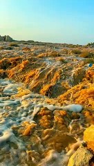 مشهد ساحر.. أمطار رفحاء ترسم لوحة طبيعية وتجذب العائلات للتنزه