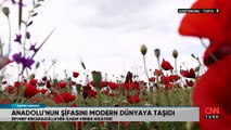 Anadolu'nun şifasını modern dünyaya taşıdı