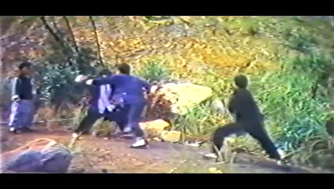 Orthodox Kung Fu (1980) // Classic Kung Fu Movies