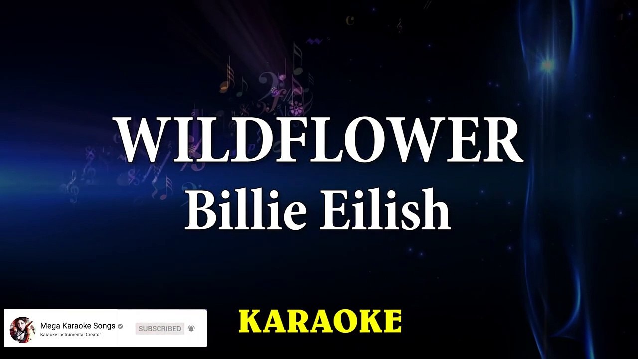 Billie Eilish - WILDFLOWER (Karaoke)