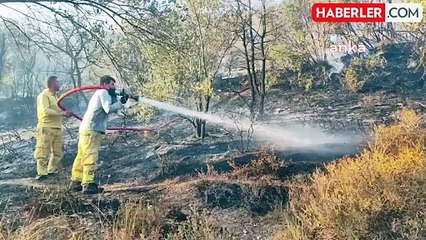 Muğla'da Orman Yangını Kontrol Altına Alındı