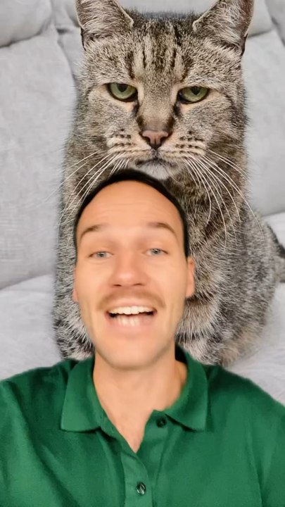 Les plus VIEUX CHATS !
