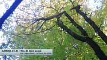 GÂNDUL ZILEI - Vino la mine acasă