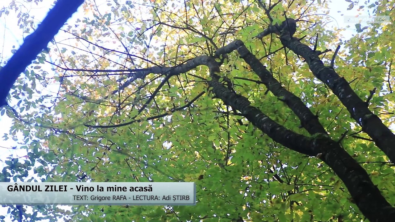 GÂNDUL ZILEI - Vino la mine acasă