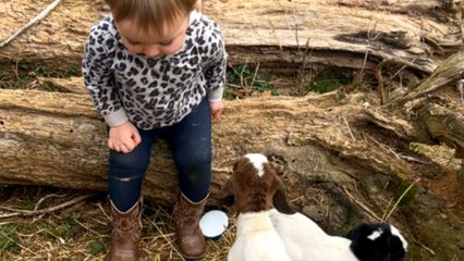 Baby girl’s confidence shines as she responds to baby goats’ bleat