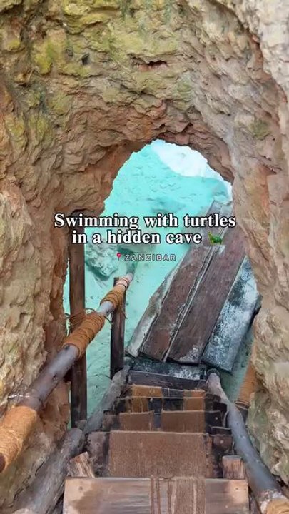"Discover Salaam Cave in Zanzibar a Hidden Cave With a Natural Lagoon Full Of Sea Turtles During Your Visit Enjoy Your Time"...!!