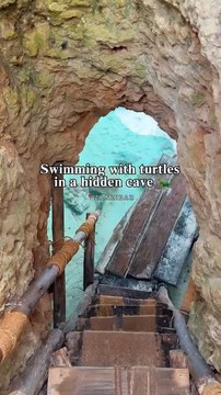 Discover Salaam Cave in Zanzibar a Hidden Cave With a Natural Lagoon Full Of Sea Turtles During Your Visit Enjoy Your Time ...!!