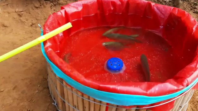 How to make mini water pump fish farming Science project