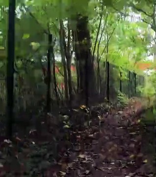 Sympathique sortie mais retour sans dérailleur